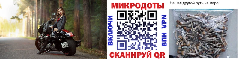 цены наркотик  кракен сайт  Псилоцибиновые грибы мицелий  Алексин 
