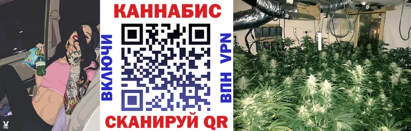Бошки Шишки индика  цена   гидра как войти  дарк нет Telegram  Алексин 